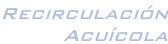 Recirculación Acuícola
