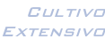 Cultivo  Extensivo